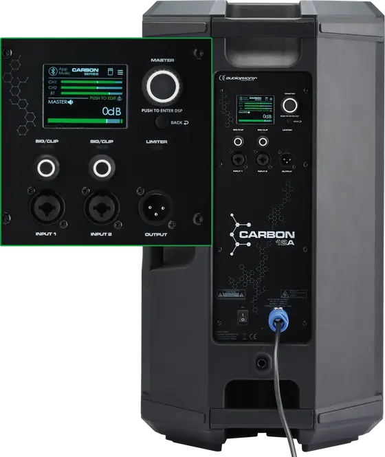 CARBON12A rear panel: DSP screen and connectors